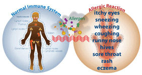 responsible for Asthma - House Dust Mite
Grass Pollens 
Weed Pollens
Tree Pollens
Molds
Insects
Pet Animals
Foods
Medicines