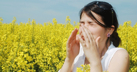 Allergy Vaccines, Pleural Effusion, Cough, Allergic Rhinitis, Atopic Dermatitis, Urticaria, chest center, asthma center, allergy center, asthma & copd, tb sleep apnea